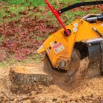 Stump Grinding