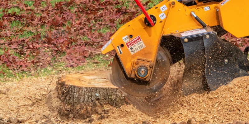 Stump Grinding in Summerfield, North Carolina