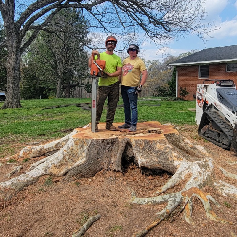 Commercial Tree services