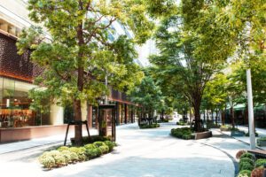 How Commercial Tree Services Improve Your Trees and Your Property