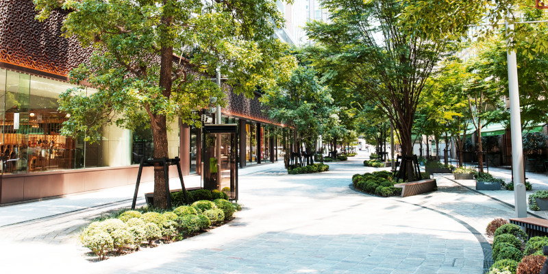 How Commercial Tree Services Improve Your Trees and Your Property